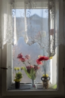 https://www.heikokarn.com/files/gimgs/th-5_Blumen.jpg